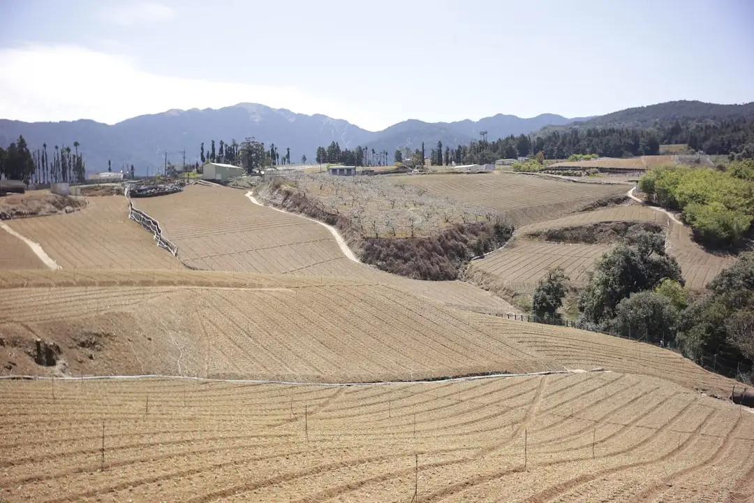 百叶窗与卷帘在办公空间中的遮光方案对比分析